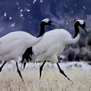 김영식공인중개사사무소 이미지