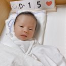 (주)안스 이미지