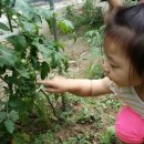 백룡농장 이미지