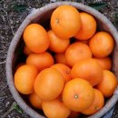 진표농장 이미지