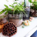 데코플라워 이미지