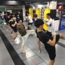 호원태권도체육관 이미지