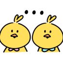 앨리스라운드월정리점