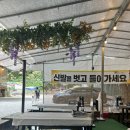 발닭 | [공지] 서울 근교 양주 시원하게 발 담그고 먹는 닭백숙