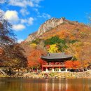 전남장성과 전북순창의 경계에있는 백암산 이미지