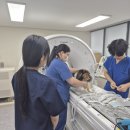 호남동물병원 이미지