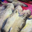 시조식당 이미지