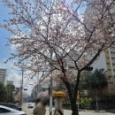 고향옥 얼큰순대국 화성안녕점 | 화성 봉담맛집 '고향옥얼큰순대국' - 속 풀리는 해장부터 아이 메뉴까지 완벽!