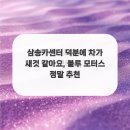 블루모터스 이미지