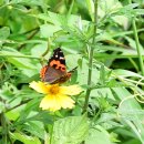 통큰 멋쟁이