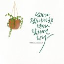 무지개솔루션