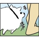 산책하는 강아지 이미지