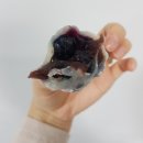 모찌의숲 이미지