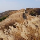 충남 보령 오서산 박 산행 (으악새의 향연 속으로) 이미지