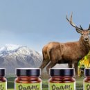 펫트러스트 이미지