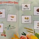 [과학탐구] 브로콜리 새싹 키우기 - 댓글로 사진을 올려주세요 😊 이미지