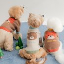 포근하개 이미지