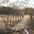 안산가로변