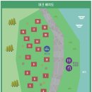 잣나무숲 이미지