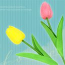 미소샵 - 부천시 원미구 부천로54번길 10 | 미소샵