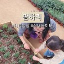 하리 농장 | (경북 청도) 팜하리 체험농장카페 솔직 후기/ 청도 아이와가볼만한곳