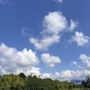 항상좋은날 이미지