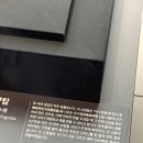 경주 대릉원 축제 2026 후기 겸 여행기 (돌담길, 커피...링스, 첨성대 미디어아트, 경주 남산, 보물찾기...