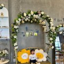 [괴산 카페] 카페 몽도래