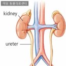 헤이데이짐 영천점 이미지