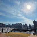 산책 | 수영강 휴먼브릿지 주차와 산책 후기