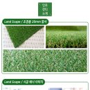 피피씨체대입시수지광교캠퍼스