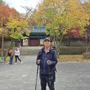 낙성대 공원 이미지