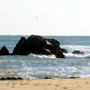 산골나들이 이미지