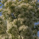 황성공원 실내체육관 이미지