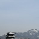 종로-신교-종로-신-215 | 우리만의 겨울나기 2월