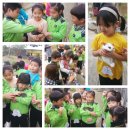 큐리어스어린이집 이미지