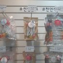 남포항간호학원 이미지