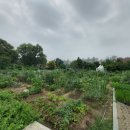 성실농장 이미지