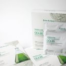 카오아시스 이미지