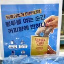 백화점 팝업행사 티백커피 추천 리틀캘리커피 팝업스토어 후기