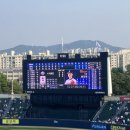 양서클리닝 이미지