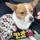 므므스튜디오 이미지