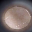 뮤동물병원 이미지