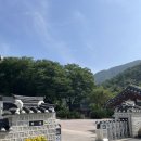 장릉 | 단종의 능 영월 장릉_세계유산 조선왕릉 관람후기