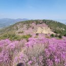 무학산식당
