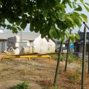 삼암경로당 이미지