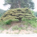 뒷골옛집 이미지