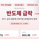 (주)MBC프로덕션 | 반도체·자동차 급락에 코스피 6500선 붕괴, 금융주는 나홀로 선방