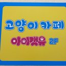 아이캣유 이미지