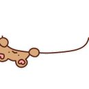 연탄삼굽지 이미지